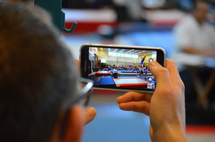 乐鱼电竞在线平台-中国篮球联赛市场细分与营销研究,篮球联赛介绍