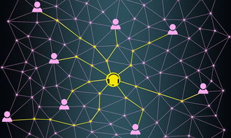 乐鱼app-体育赛事数据分析与决策支持系统,体育赛事现状分析