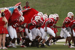 乐鱼体育平台app下载-全国青少年攀石锦标赛成都站圆满落幕,2020全国青少年攀岩比赛