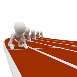 乐鱼体育-意甲青训营引入认知训练板提高球员战术反应速度,意甲青训怎么算