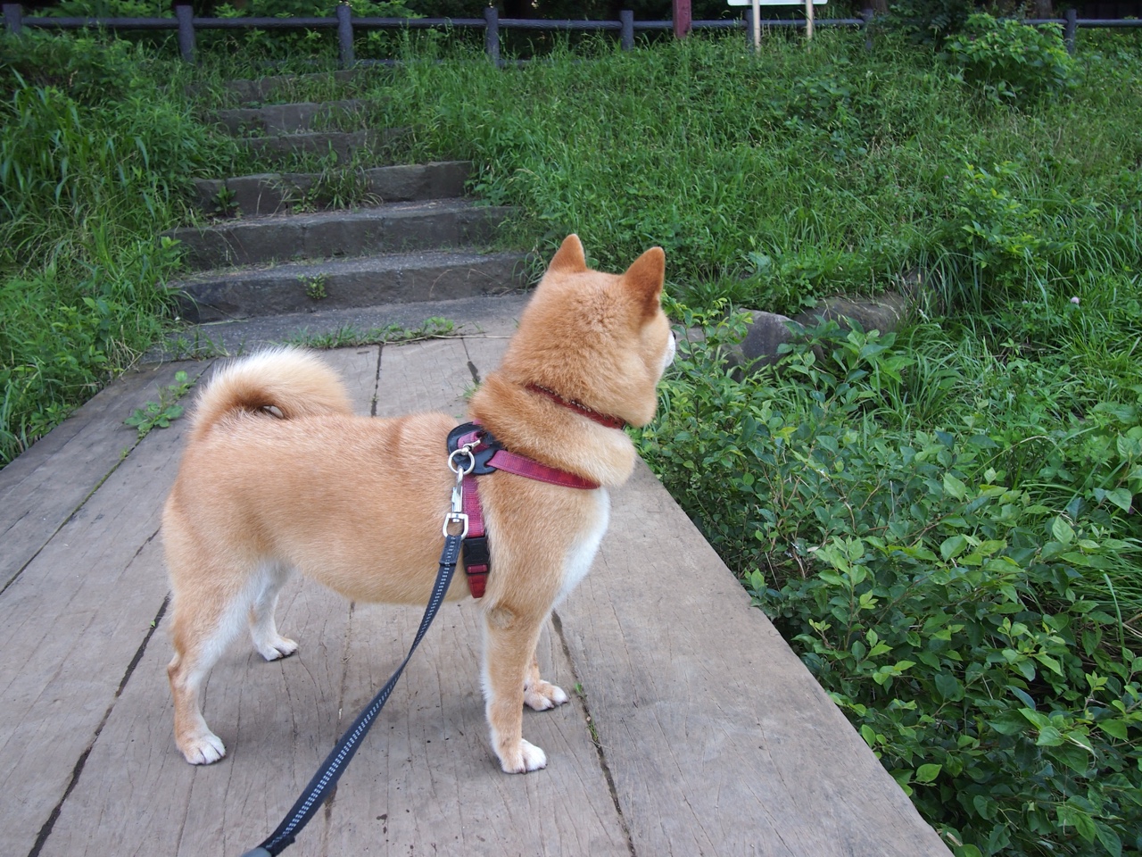 leyu乐鱼官网登录入口-七六人换防策略有效限制对手突破,七六人阵容