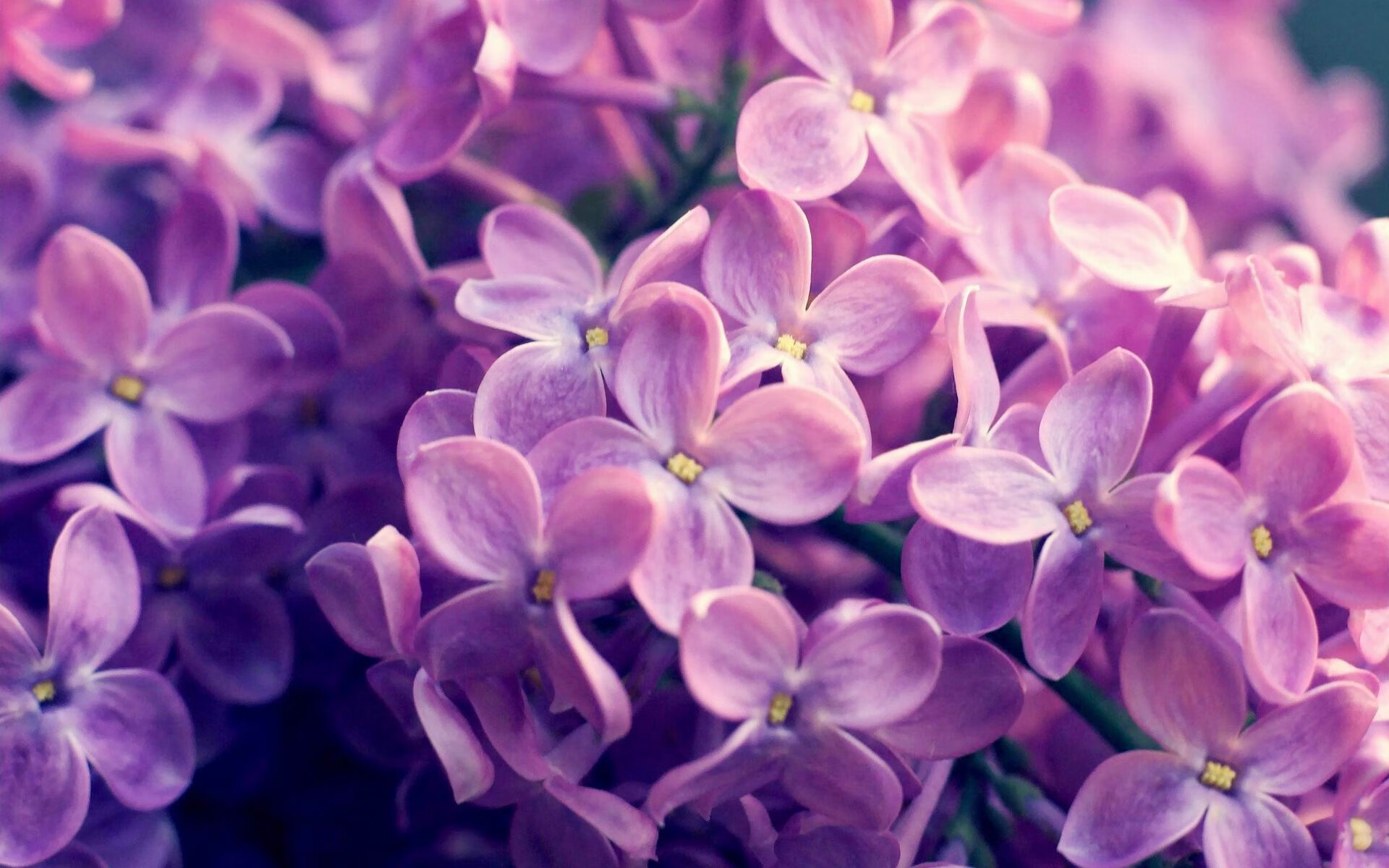 乐鱼app-国家轮滑协会公布室内训练标准场地参数,轮滑训练场地要求