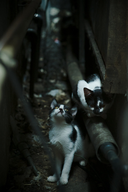 乐鱼体育平台官网-法甲场面火爆：攻防精彩瞬间不断出现，法甲推荐