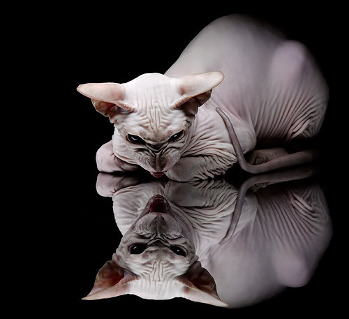 乐鱼官网-篮球训练营引入智能化考勤系统提升管理效率，篮球训练营规章制度